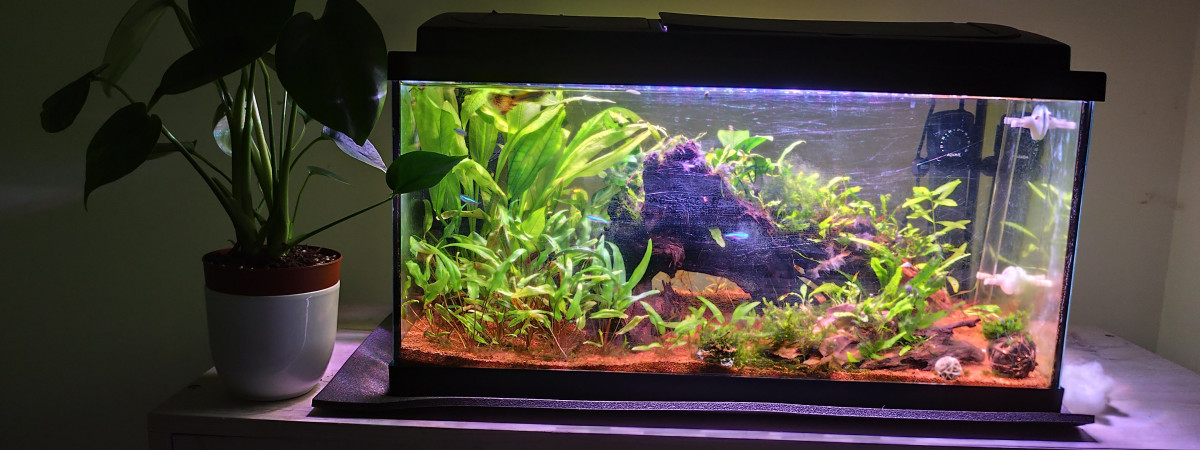 aquarium Aquarium 60l