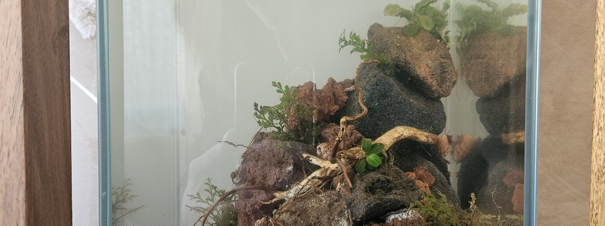 aquarium Pico 14L