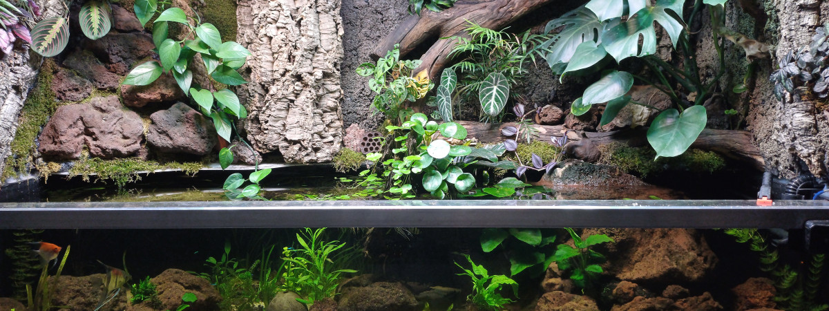 aquarium sylvain30340