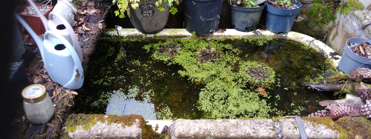 aquarium Recuperateur eau