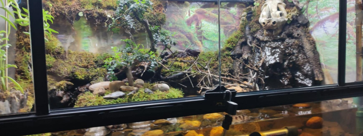 aquarium Paludarium