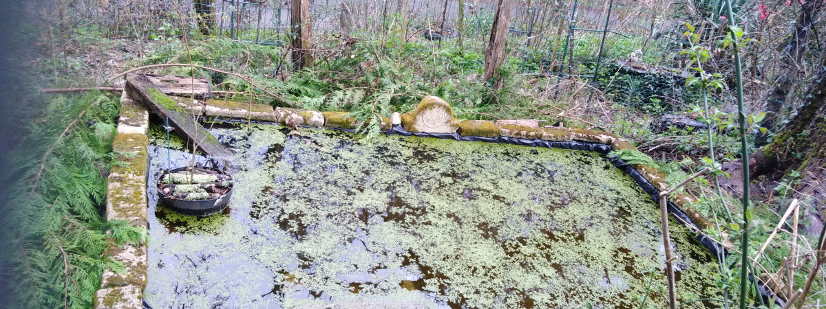 aquarium Bassin de secours
