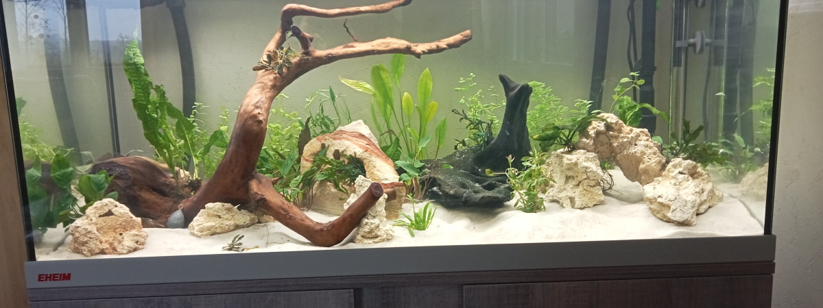 aquarium Eheim vivaline 180