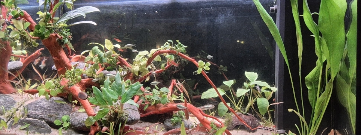 aquarium MON GROS