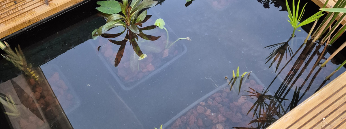 aquarium Bassin