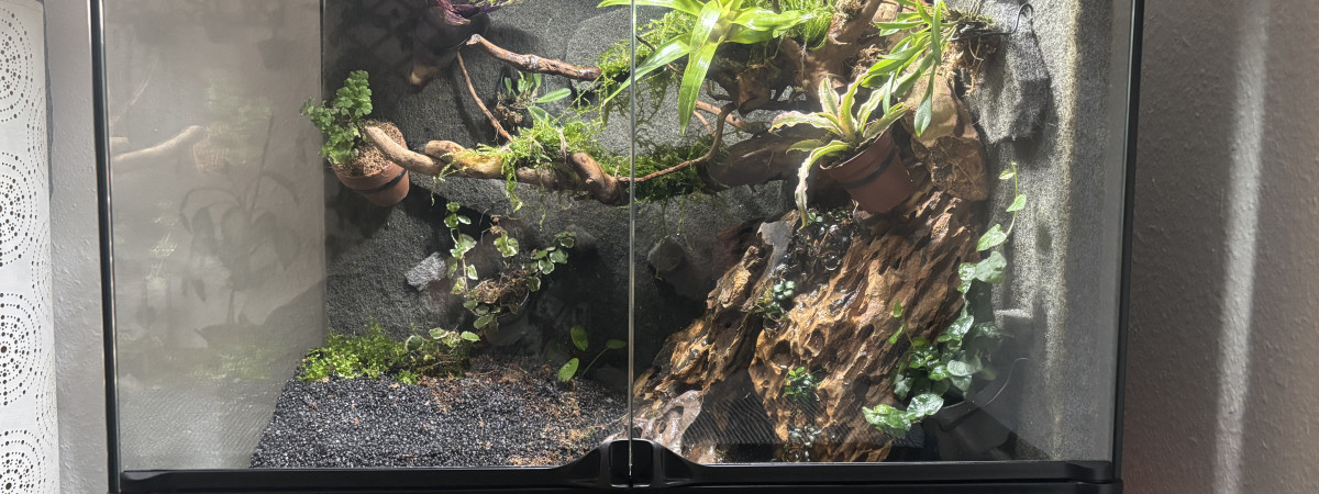 aquarium Palu en travaux tout comme le nom