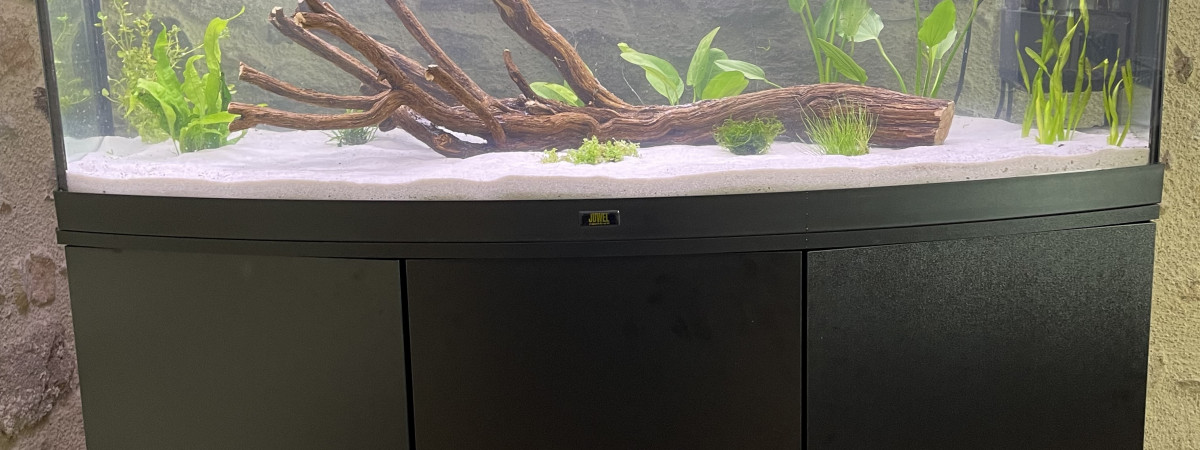 aquarium Juwel visio 260L
