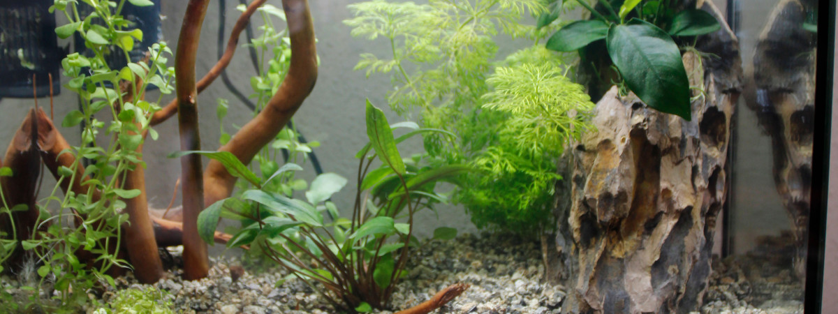 aquarium Nano