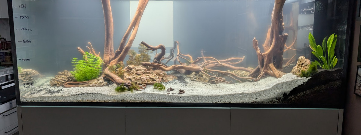 aquarium RedSea 650