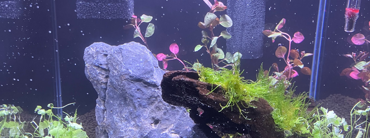 aquarium Mon Nano 30