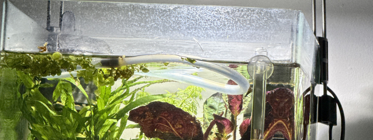 aquarium Nano