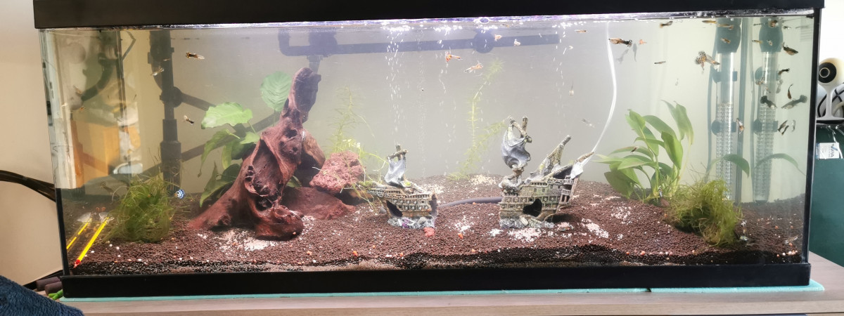 aquarium Aquarium 100L
