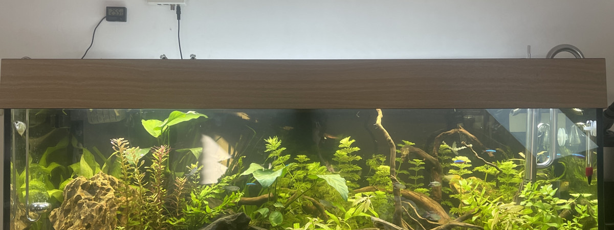 aquarium Aquarium 180 L