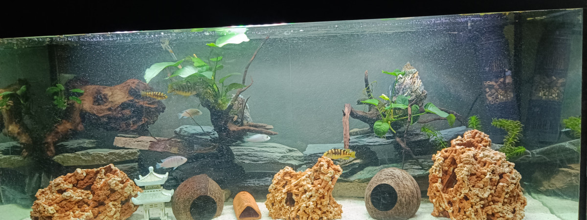 aquarium Aquarium 200litre
