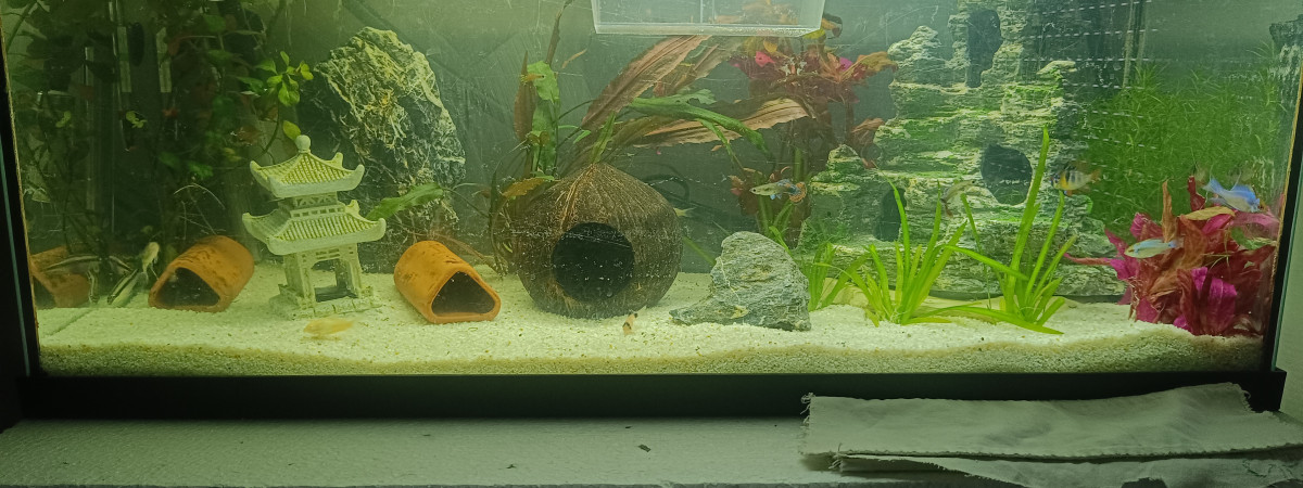 aquarium Aquarium 100litre