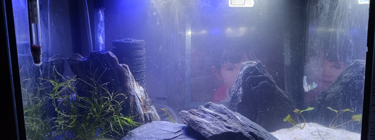 aquarium Aquarium 15litre