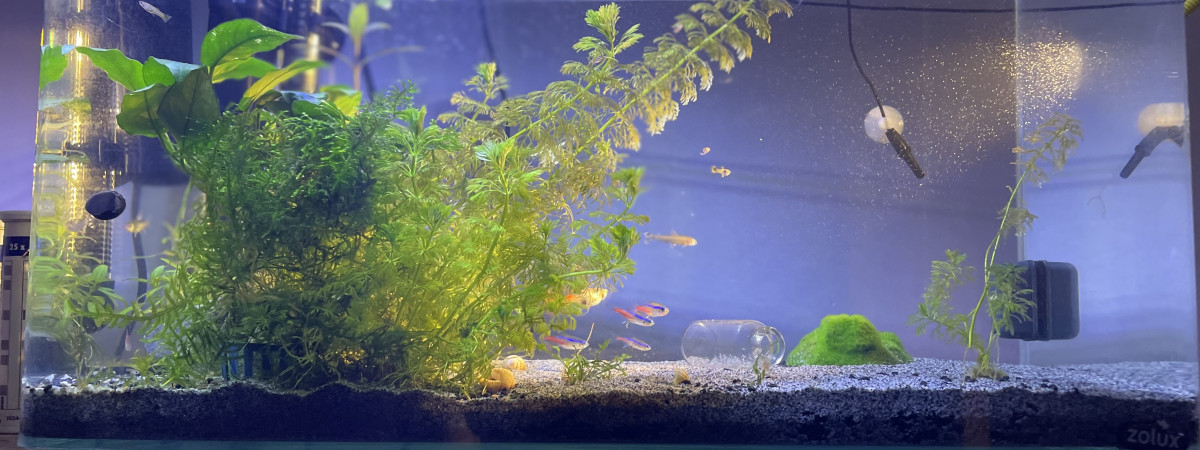 aquarium Batiment B