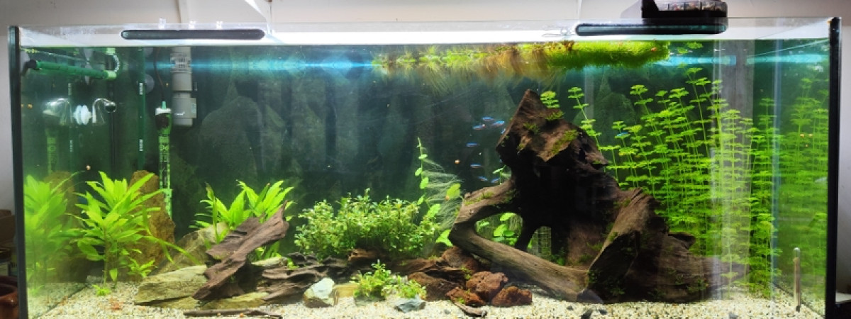 aquarium lebac120