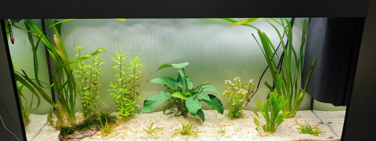 aquarium Aurèle