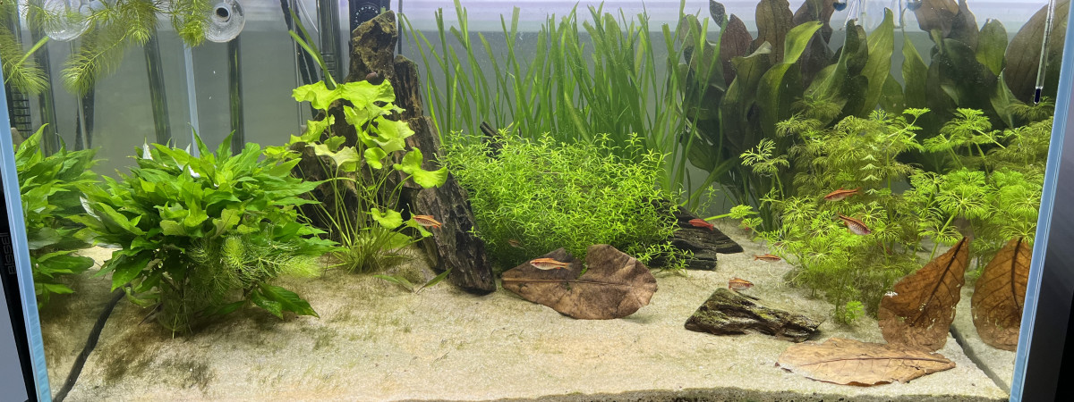 aquarium Aquael UltraScape 90