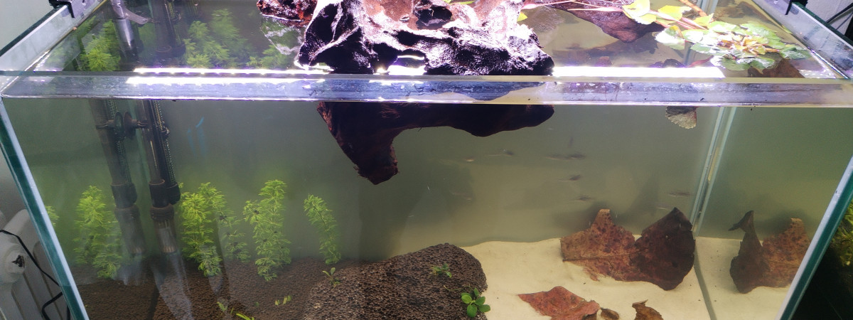 aquarium 160 litre