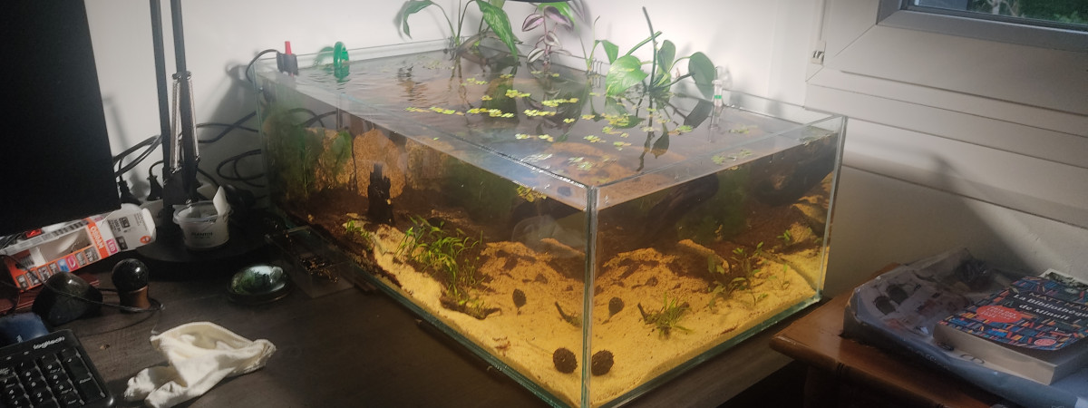 aquarium Shallow 70