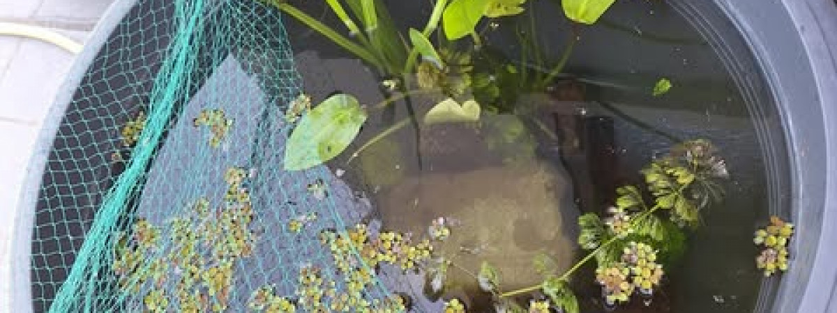 aquarium Poubellarium 80