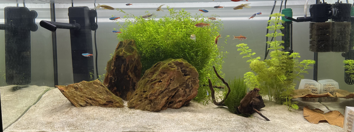 aquarium Sera AquaTank
