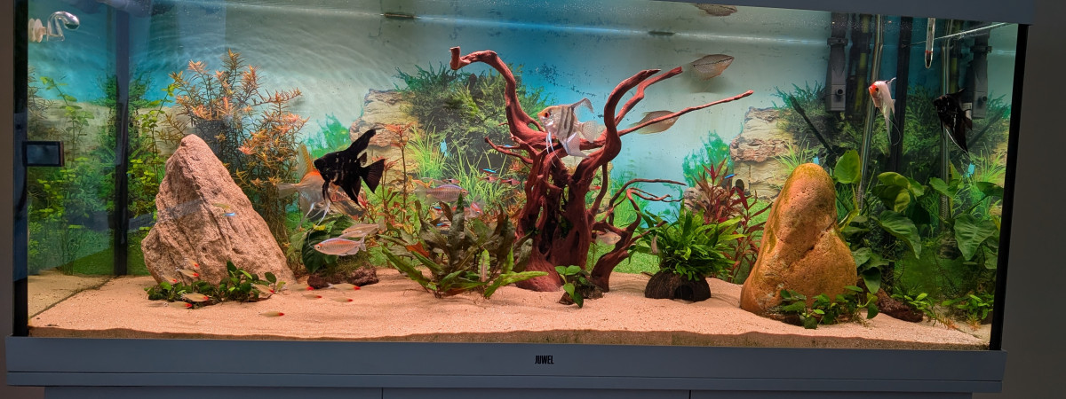 aquarium 450l