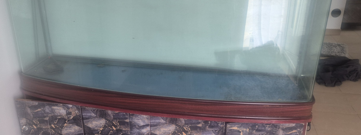 aquarium Aquarium