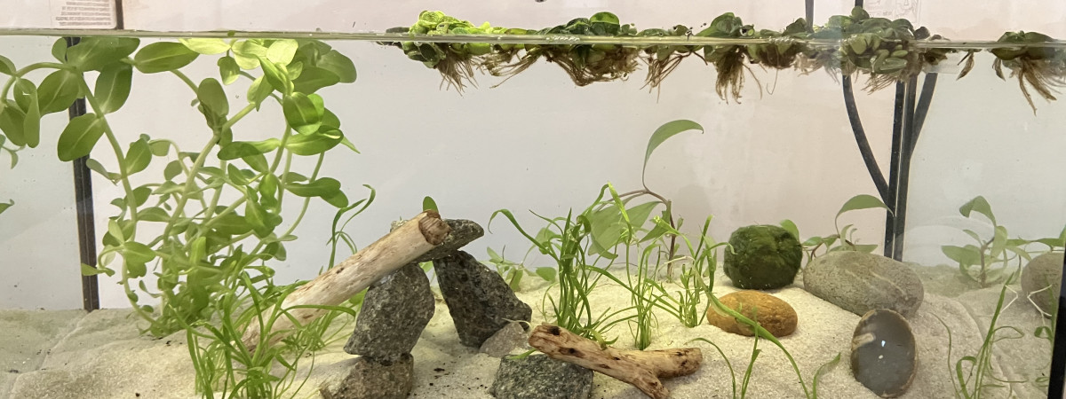 aquarium Nano Enfant