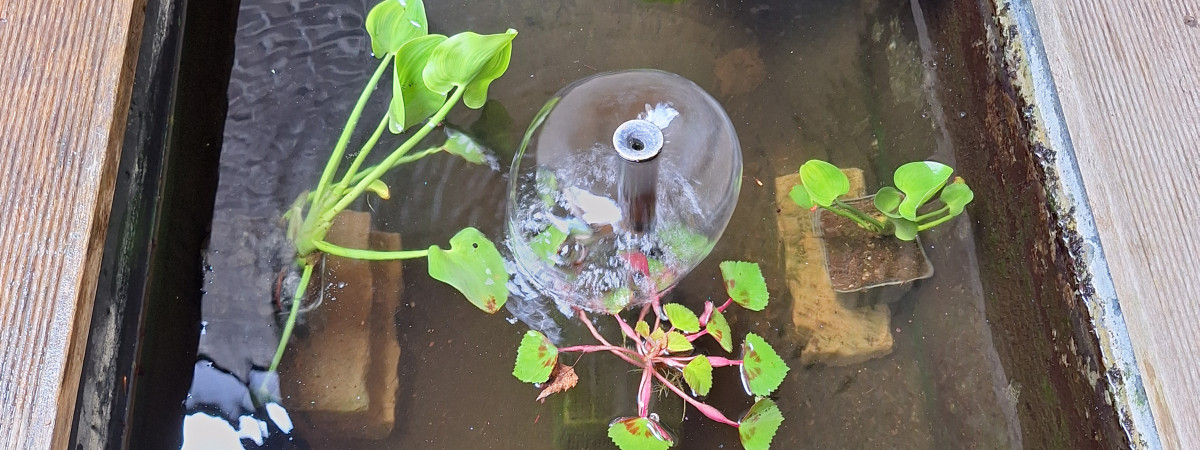 aquarium Bassin avant