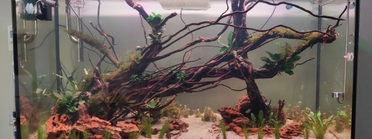 aquarium Aquarium communautaire