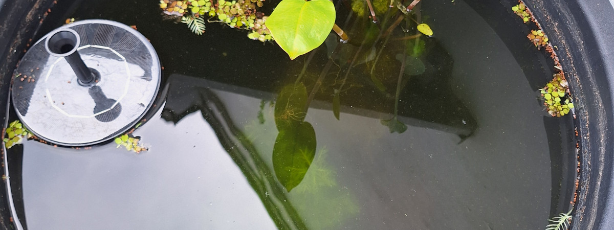 aquarium Poubellarium 60