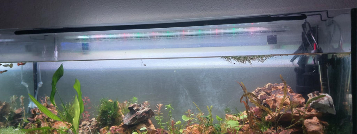 aquarium Aqua suite 22 06 25