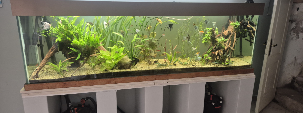 aquarium 1000l
