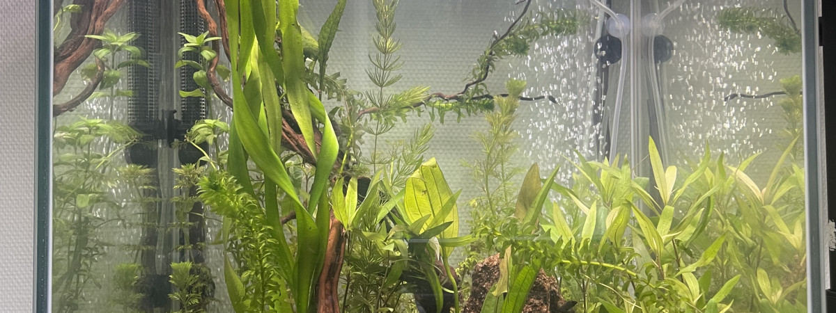 aquarium Aqua colonne 50 170 l 150