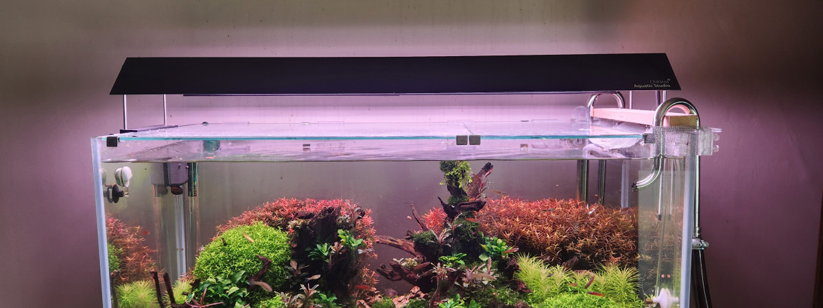 aquarium Cuve 112L Aquael