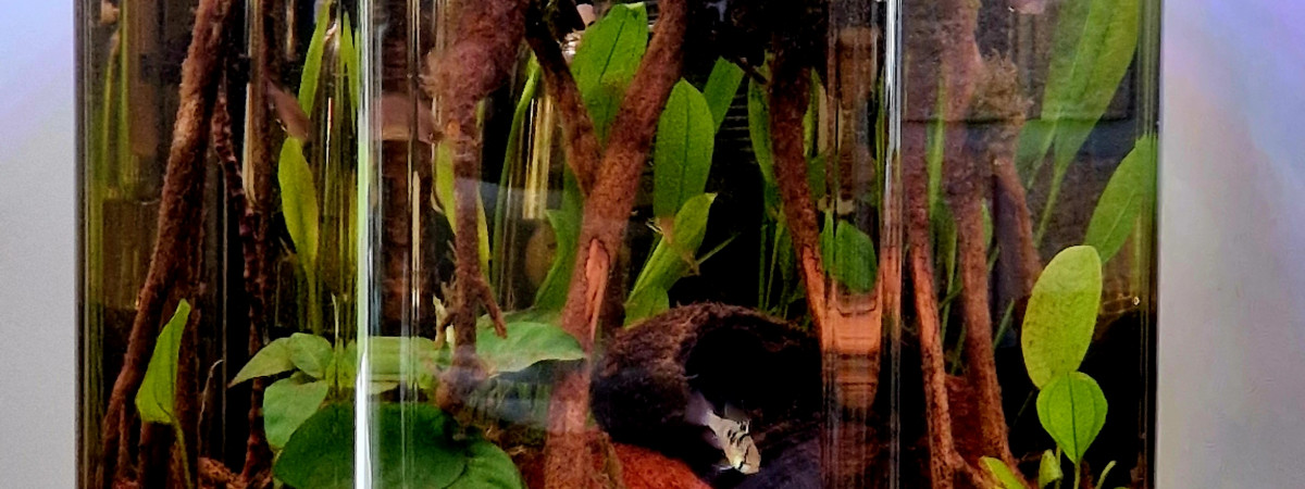aquarium Octogone