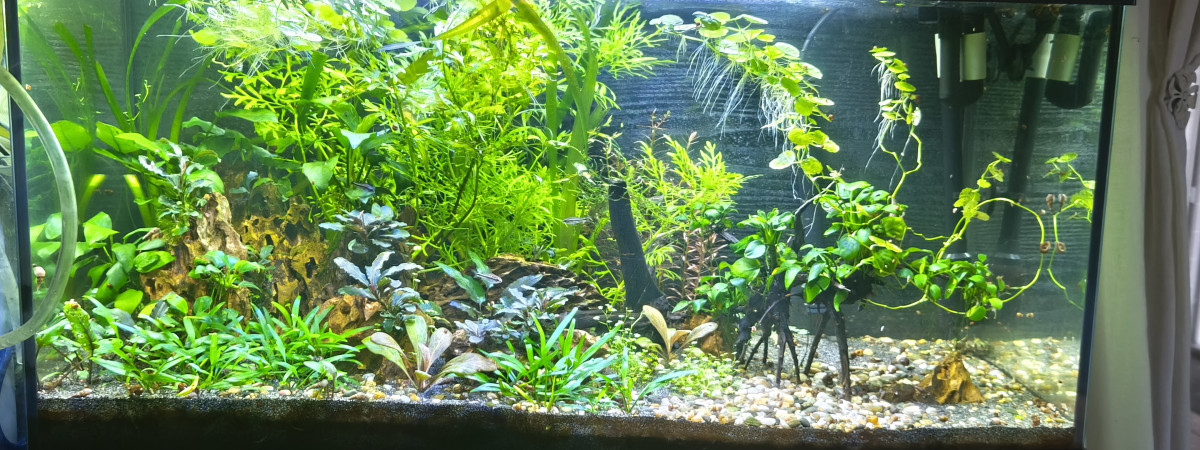 aquarium Tanker