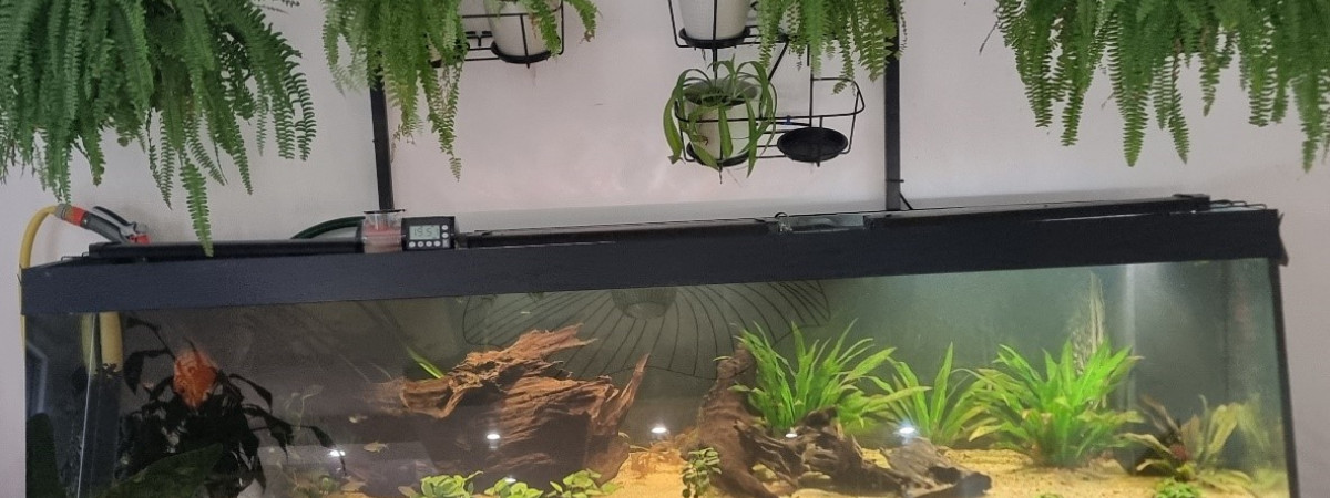 aquarium BAC 500L