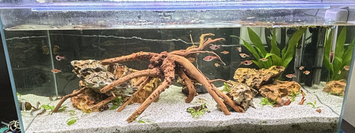 aquarium Mon  bac de 98L