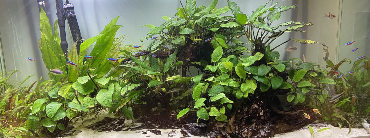 aquarium Aquarium 400L