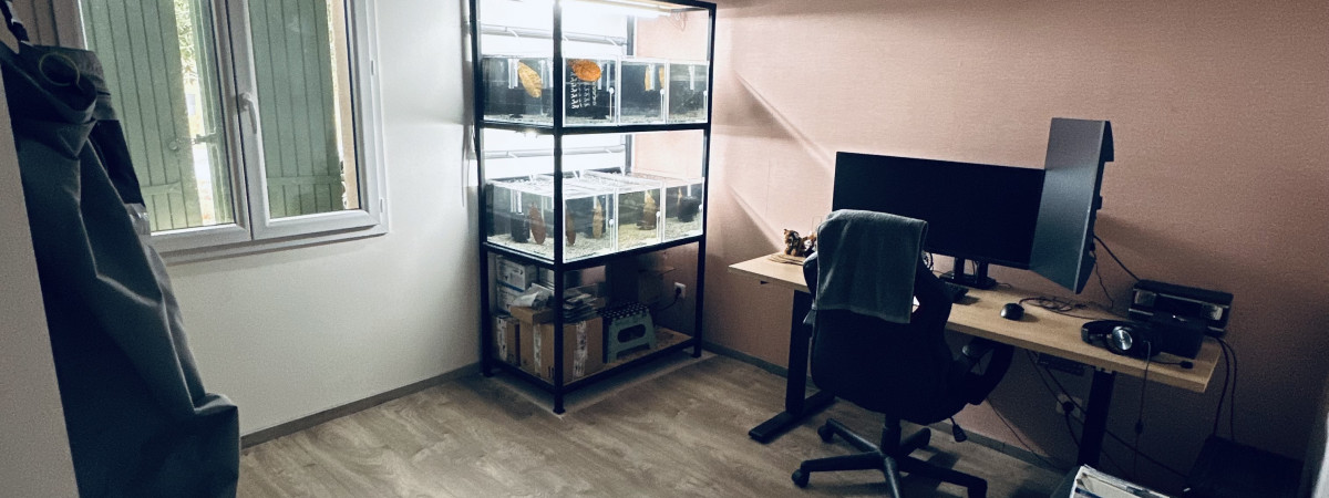aquarium Le Rack à Néocaridina