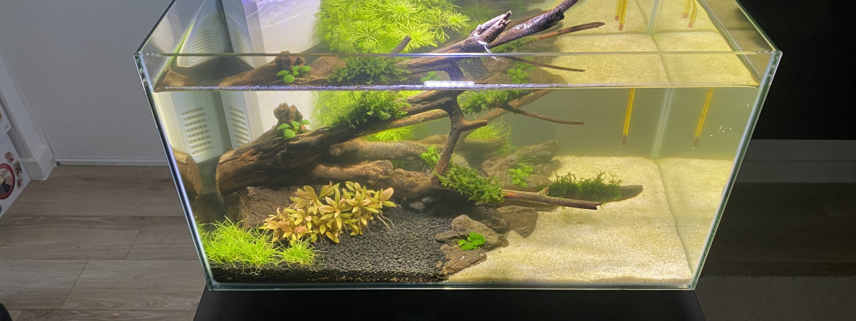 aquarium Aquarium