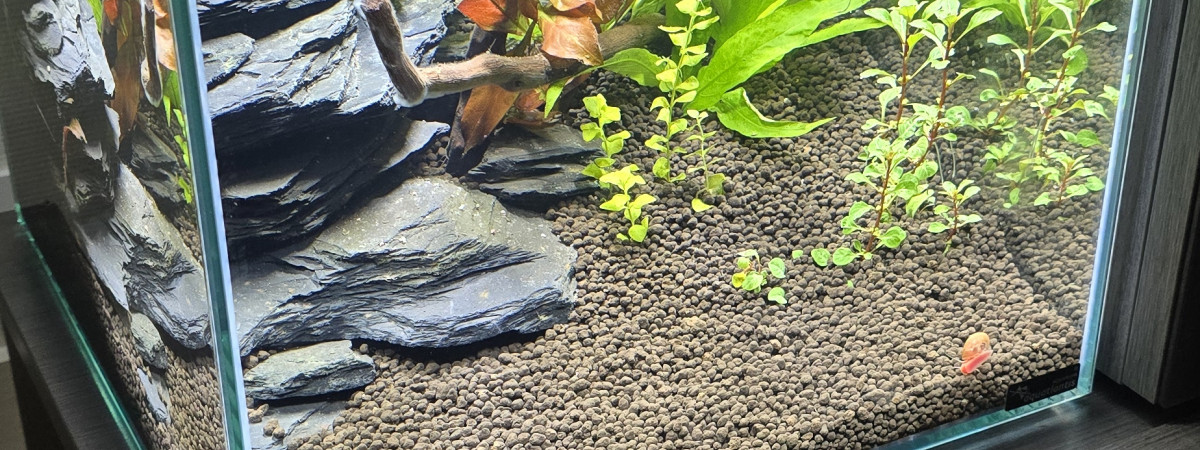 aquarium Cube 33L