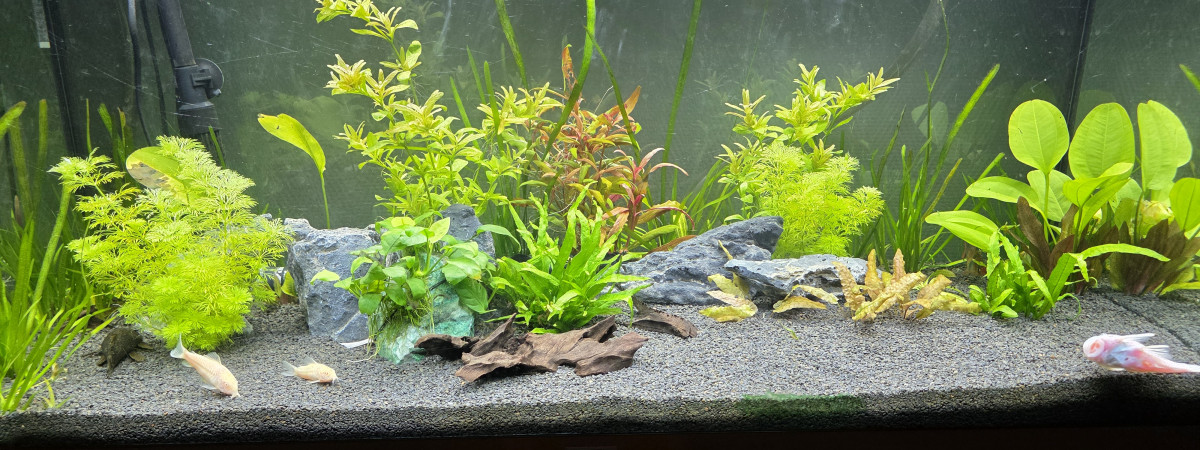 aquarium Juwel Rio 180
