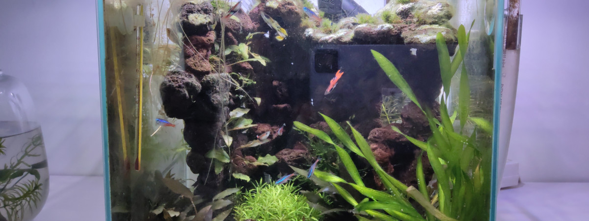 aquarium Nano 30