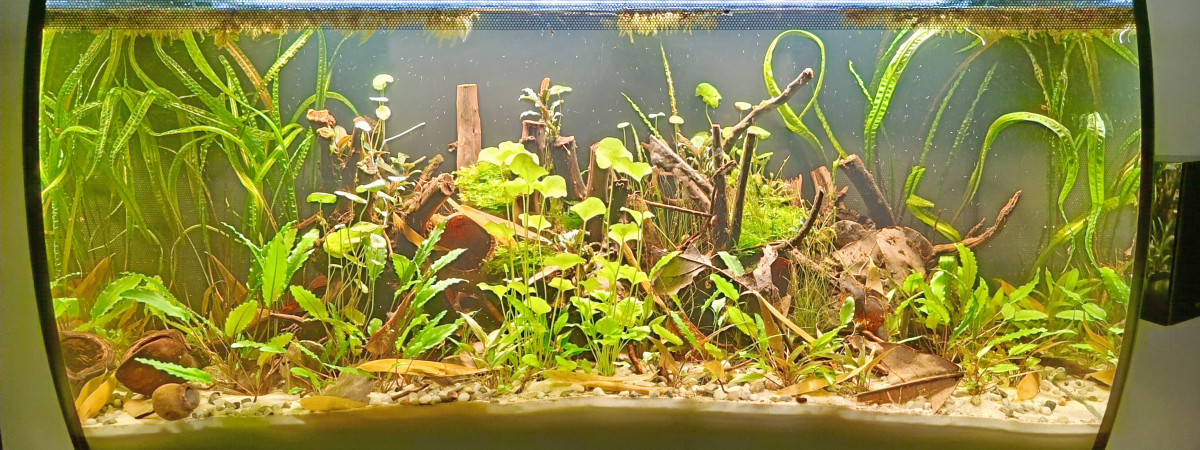 aquarium Fluval flex 123l