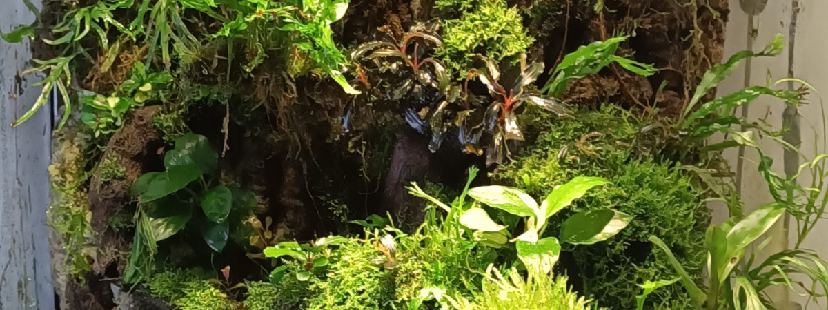 aquarium Terrarium